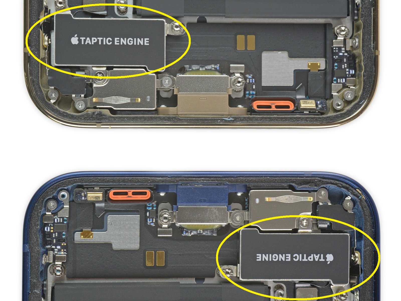 在揚聲器格柵后面，亮橙色的橡膠墊圈十分搶眼，iFixit表示曾在拆解三星手機過程中有看到類似畫面。另外，12和12 Pro的振動馬達在功能上是完全一樣的，只是比我們在iPhone 11上看到的要小一點，但也要厚一點。